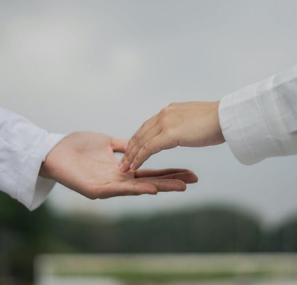 Organic Reach 7057390841 With Internal Linking